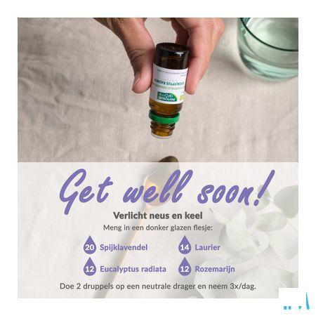 Phytosun Spijklavendel Fr-bio-01 Be2 5 ml