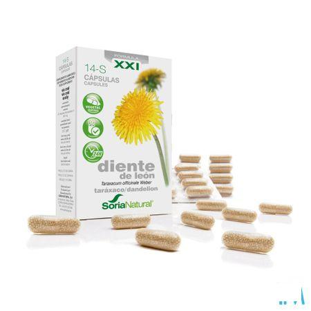 Soria 14-s Taraxacum Xxi 30 Capsule.  -  Soria Bel