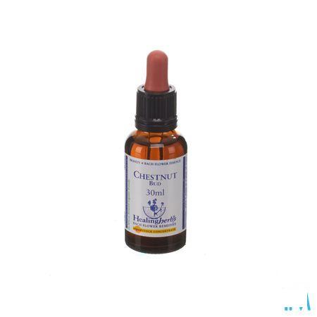 Healing Herbs Chestnut Bud 30 ml