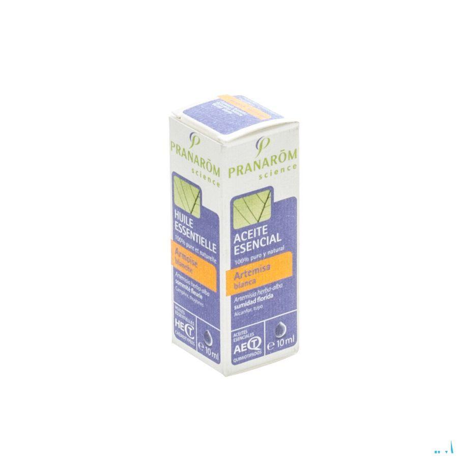 Armoise Blanche Huile Essentielle 10 ml  -  Pranarom