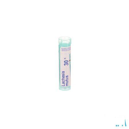 Lachesis Mutus 30K Gr 4g  -  Boiron