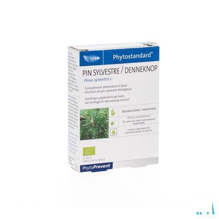 Phytostandard Pin Sylvestre Capsule 20  -  Pileje