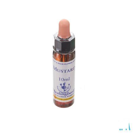 Healing Herbs Mustard 10 ml