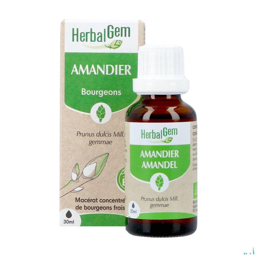 Herbalgem Amande Do Bio 30 ml
