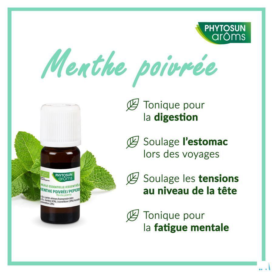 Phytosun Pepermunt Fr-bio-01 10 ml