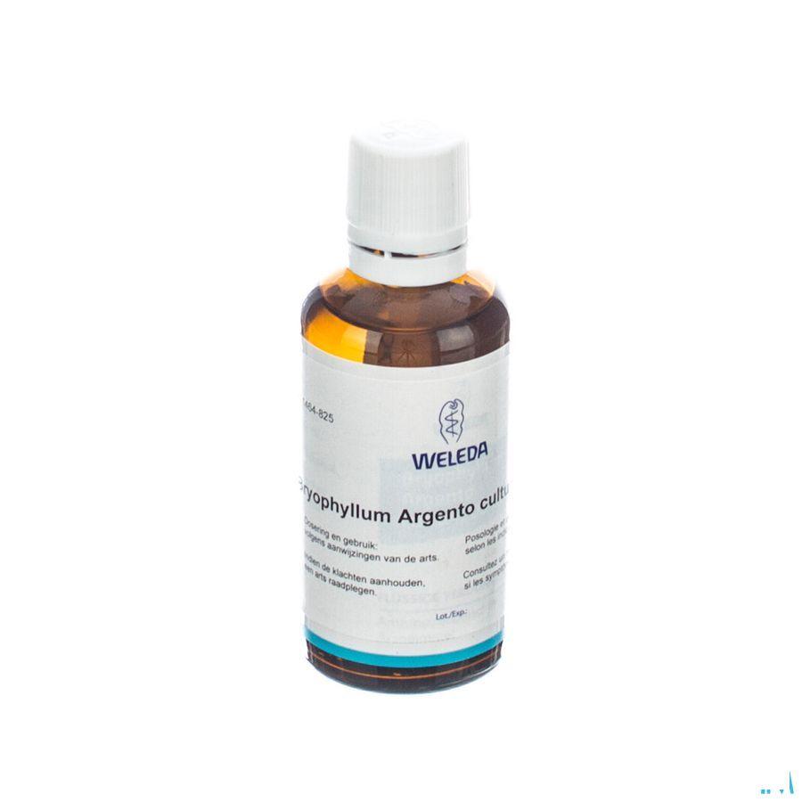 Bryophyllum Ag D2 Gutt 50 ml  -  Weleda