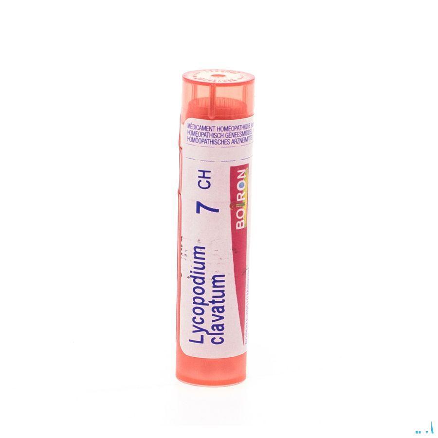 Lycopodium Clavatum 7CH Gr 4g  -  Boiron