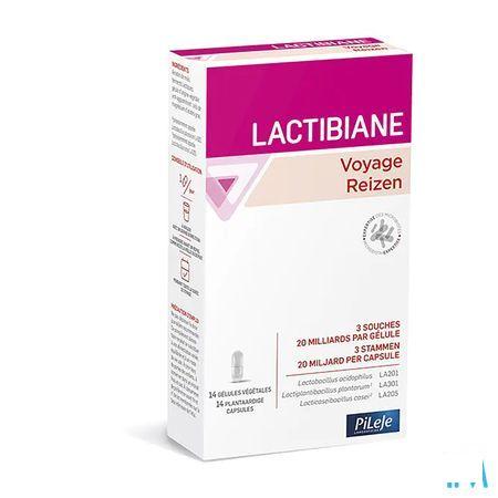 Lactibiane Imedia Stick 4  -  Pileje