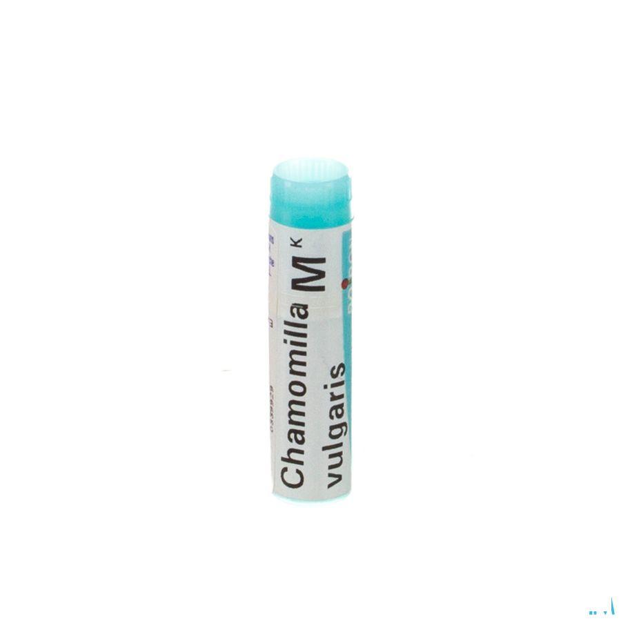 Chamomilla Vulgaris MK Gl  -  Boiron