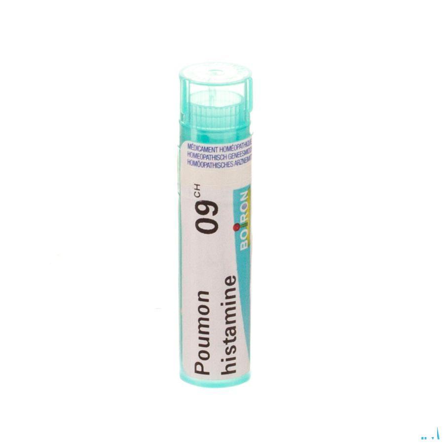 Poumon Histamine 9CH Gr 4g  -  Boiron