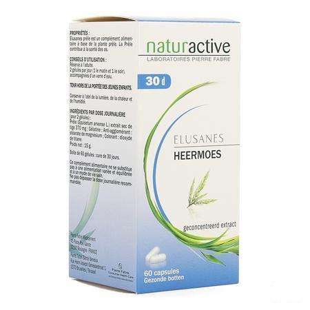 Elusanes Heermoes Capsule 60