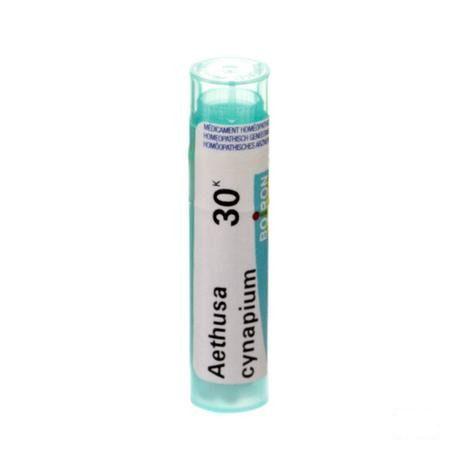 Aethusa Cynapium 30K Gr 4g  -  Boiron