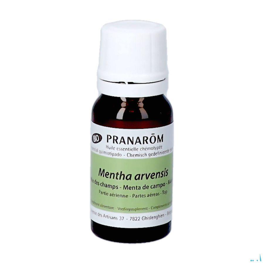 Munt Bio Essentiele Olie 10 ml  -  Pranarom