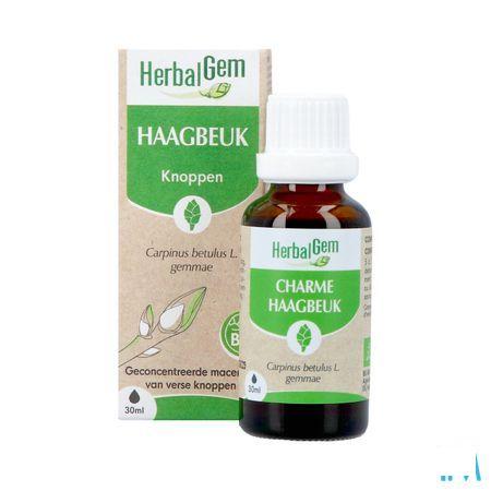 Herbalgem Charme Bio 30 ml