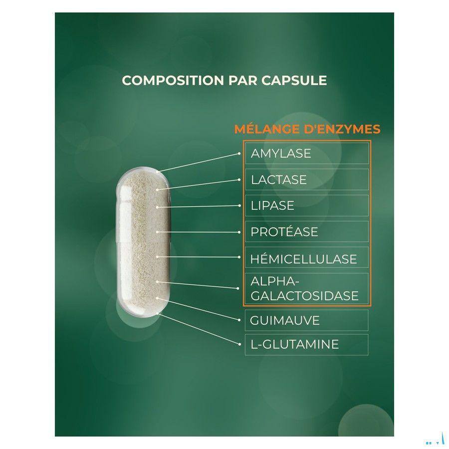 Digest Ok Capsule 60  -  Revogan