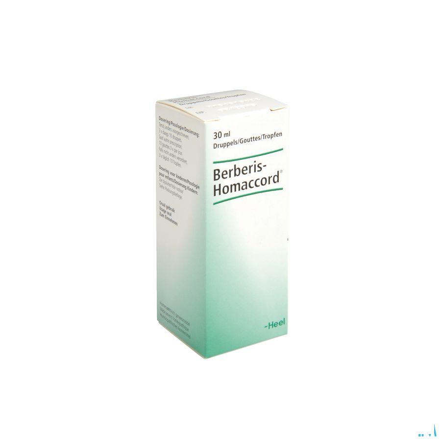 Berberis-homaccord Druppels 30 ml  -  Heel