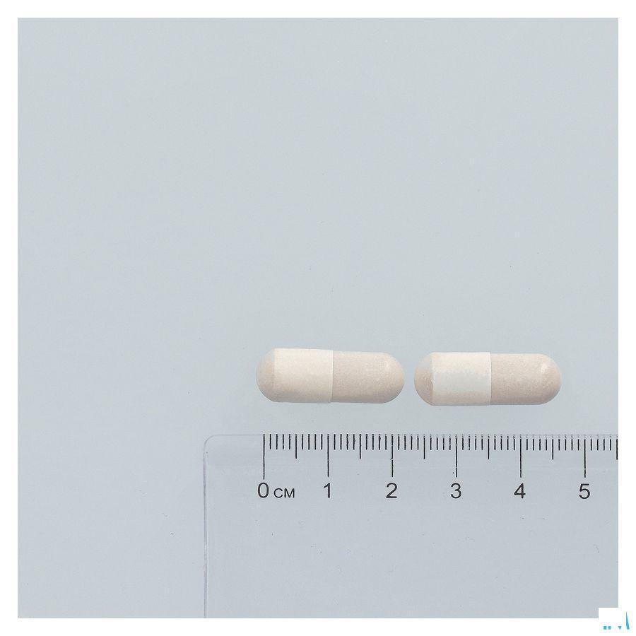 Gelsectan Capsule 30
