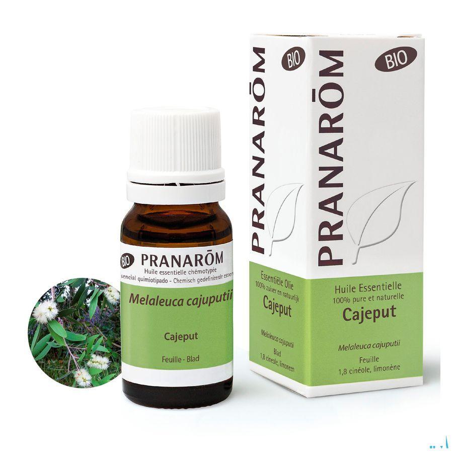 Cajeput Bio Huile Essentielle 10 ml  -  Pranarom