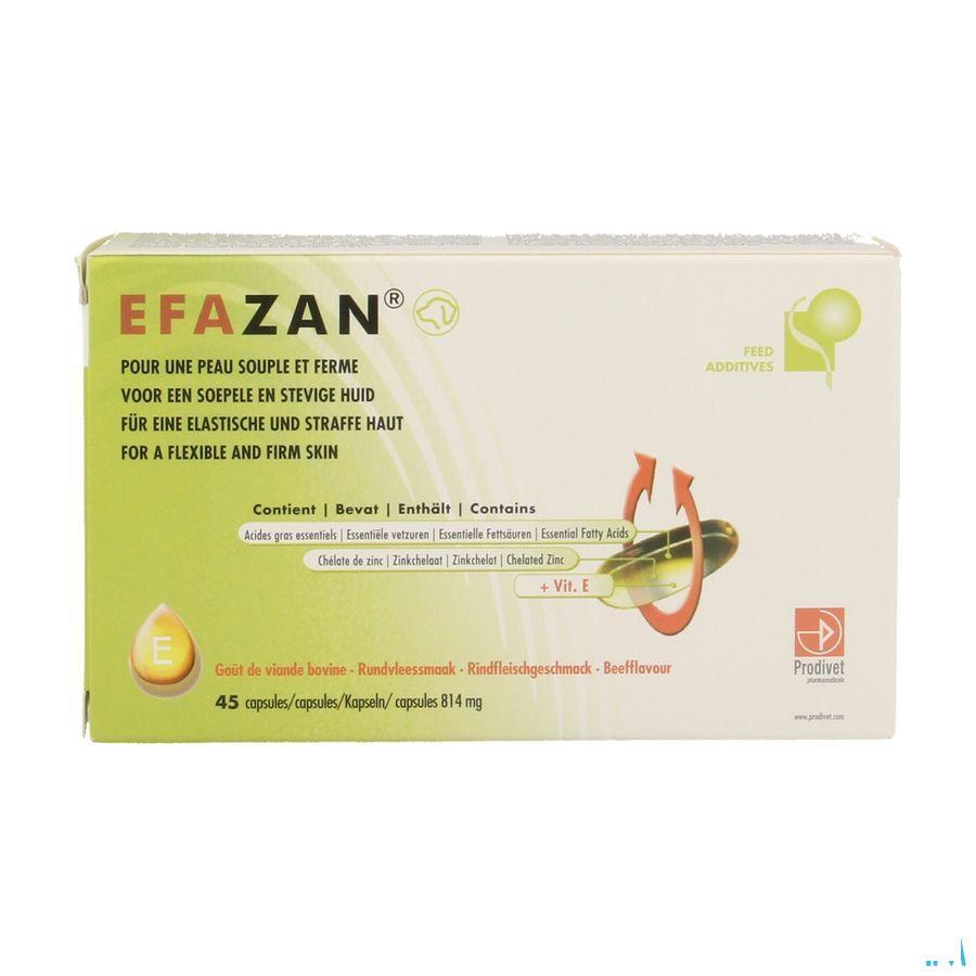 Efazan Capsule 45