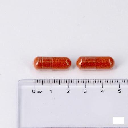 Lepivits Maxivits Pot V-Caps 30  -  Lepivits