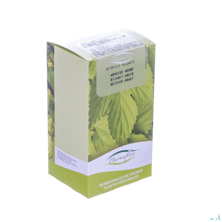 Armoise Herbe Boite 100 gr  -  Fagron