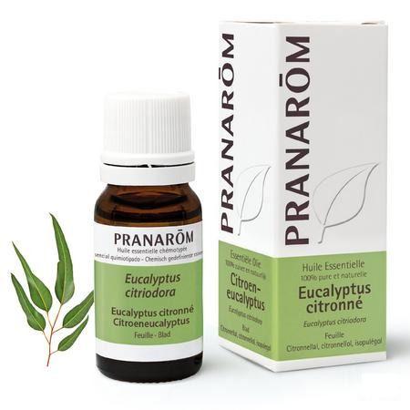 Eucalyptus Citronne Huile Essentielle 10 ml  -  Pranarom