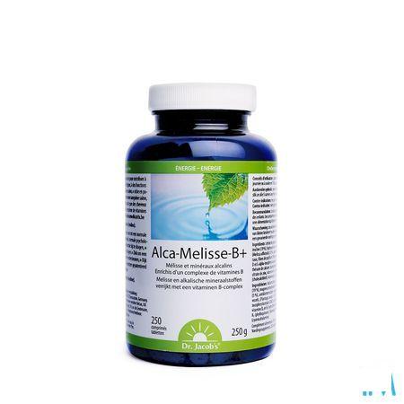 Alca Melisse B + Tabletten 250  -  Natura Medicatrix