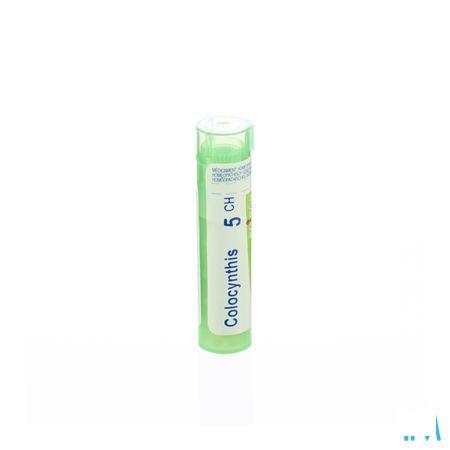 Colocynthis 5CH Gr 4g  -  Boiron