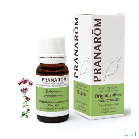 Oregano Inflor. Essentiele Olie 10 ml  -  Pranarom