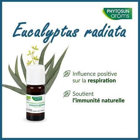 Phytosun Euc. Radiata Fr-bio-01 10 ml
