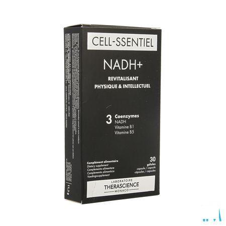 Nadh + Capsule 30 Physiomance PHY358  -  Therascience