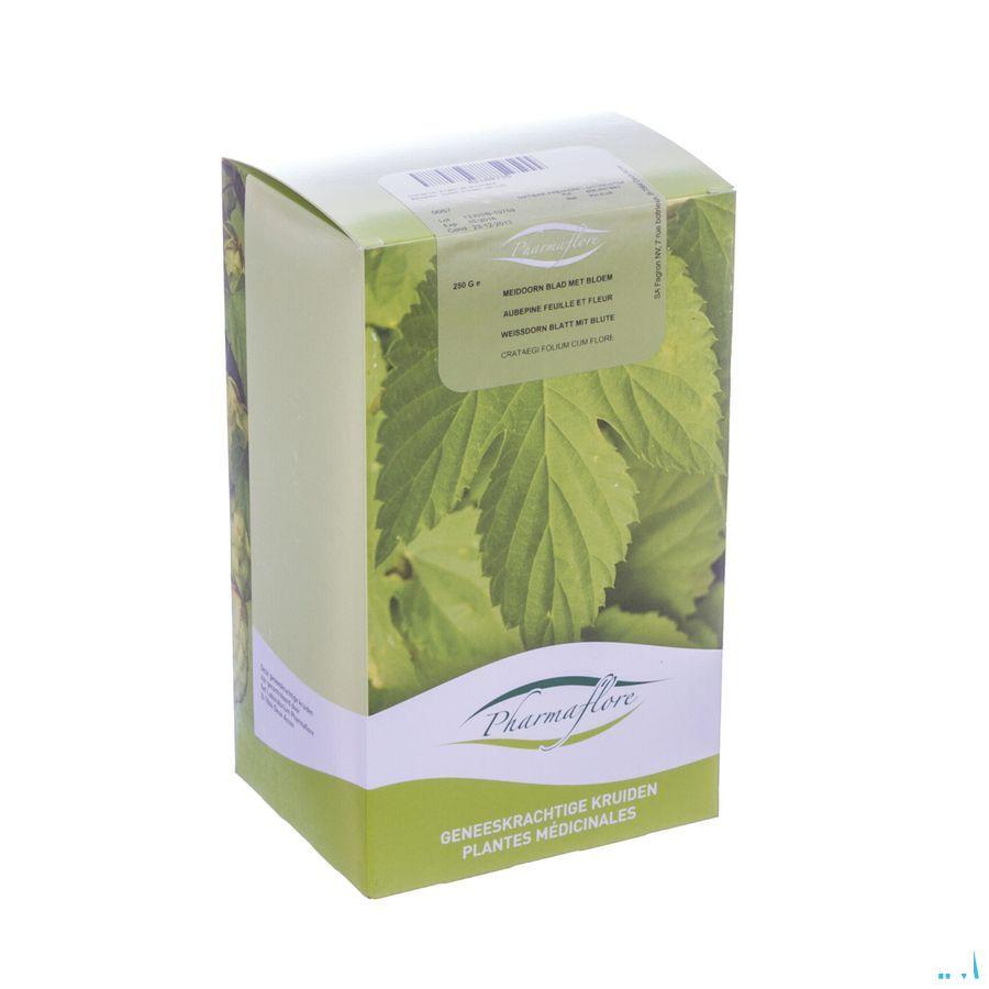 Meidoorn Blad + bloem Doos 250 gr  -  Fagron