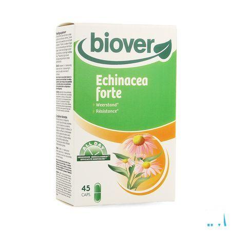 All Day Echinacea Forte V-Capsule 45