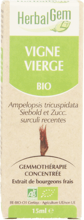 Herbalgem Wilde Wingerd Maceraat 15 ml  -  Herbalgem