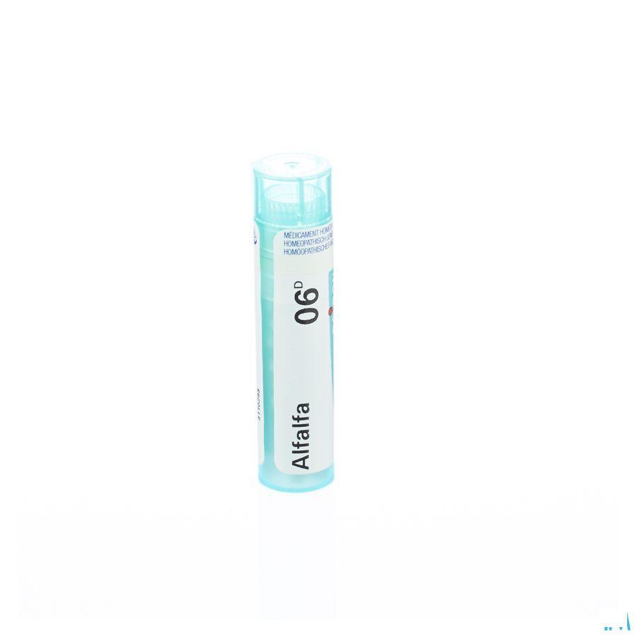 Alfalfa 6d Gr 4g  -  Boiron