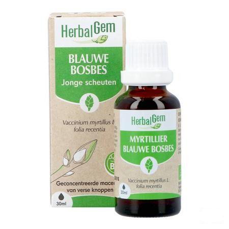Herbalgem Blauw Bosbes Bio 30 ml