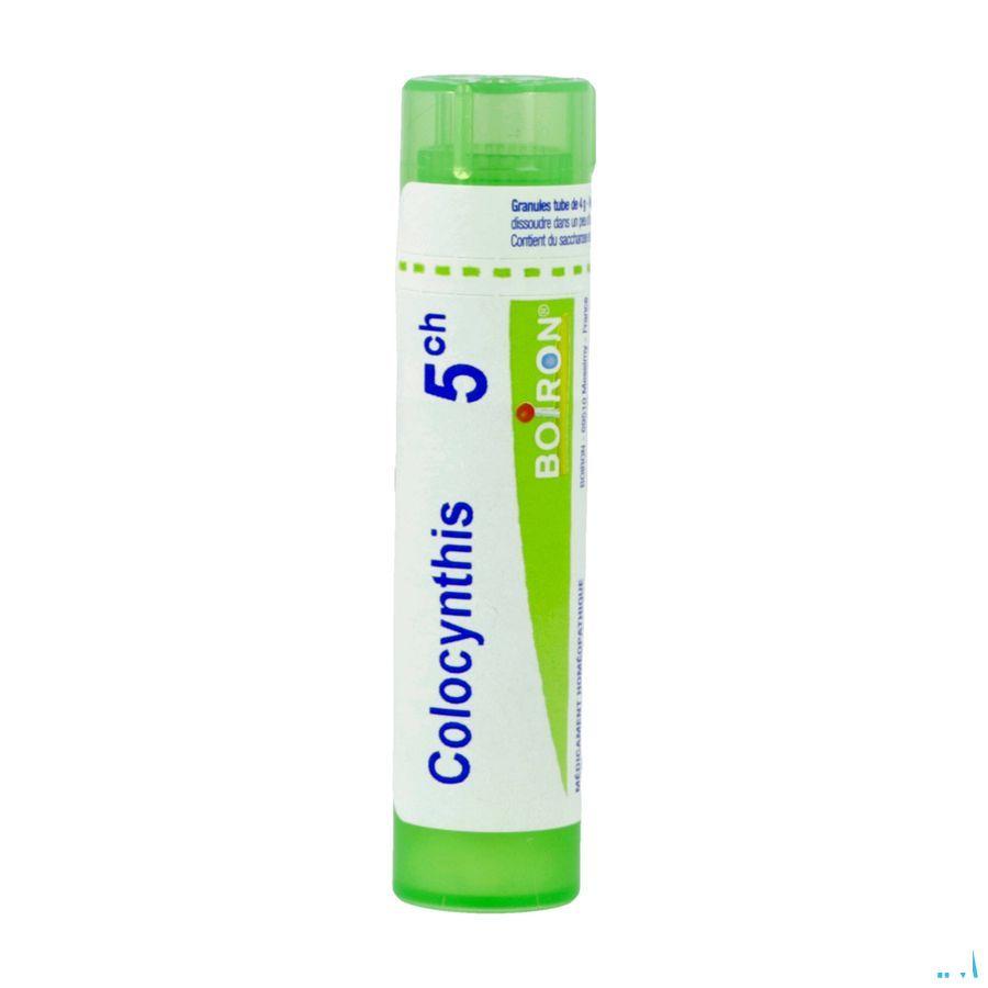 Colocynthis 5CH Gr 4g  -  Boiron
