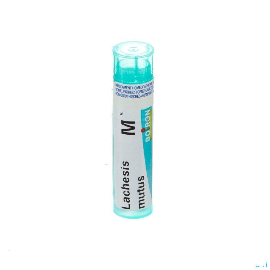 Lachesis Mutus MK Gr 4g  -  Boiron