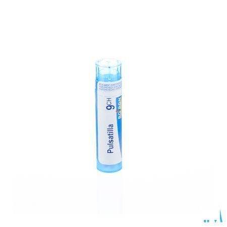 Pulsatilla 9CH Gr 4g  -  Boiron