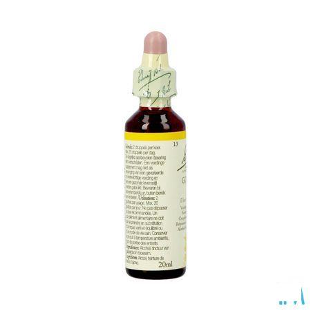 Bach Flower Remedie 13 Gorse 20 ml