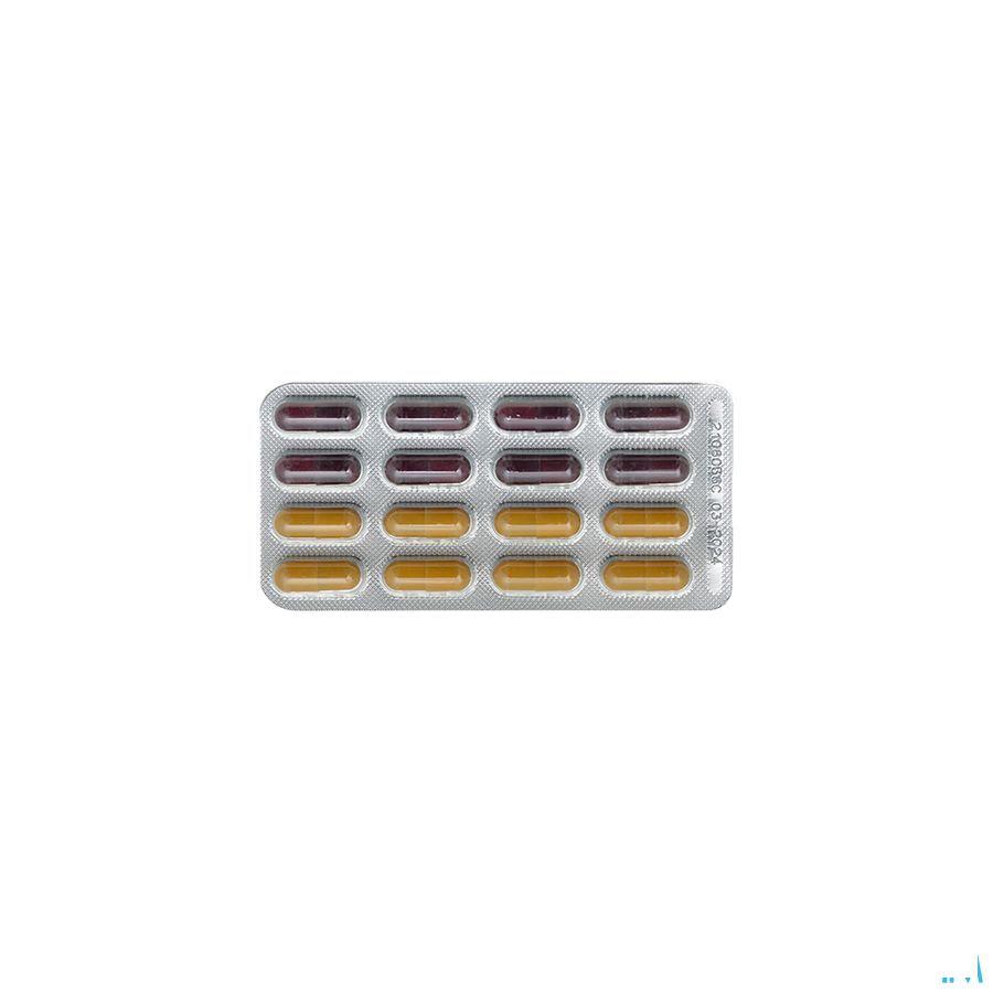 Ymea Day & Night Capsule 64 Be V2