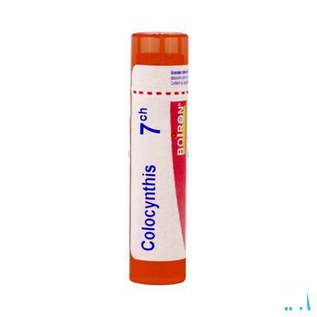Colocynthis 7CH Gr 4g  -  Boiron