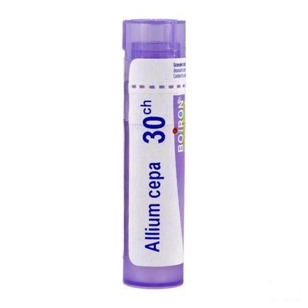 Allium Cepa 30CH Gr 4g  -  Boiron