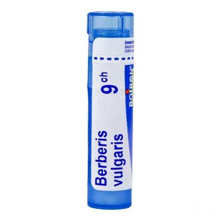 Berberis Vulgaris 9CH Gr 4g  -  Boiron
