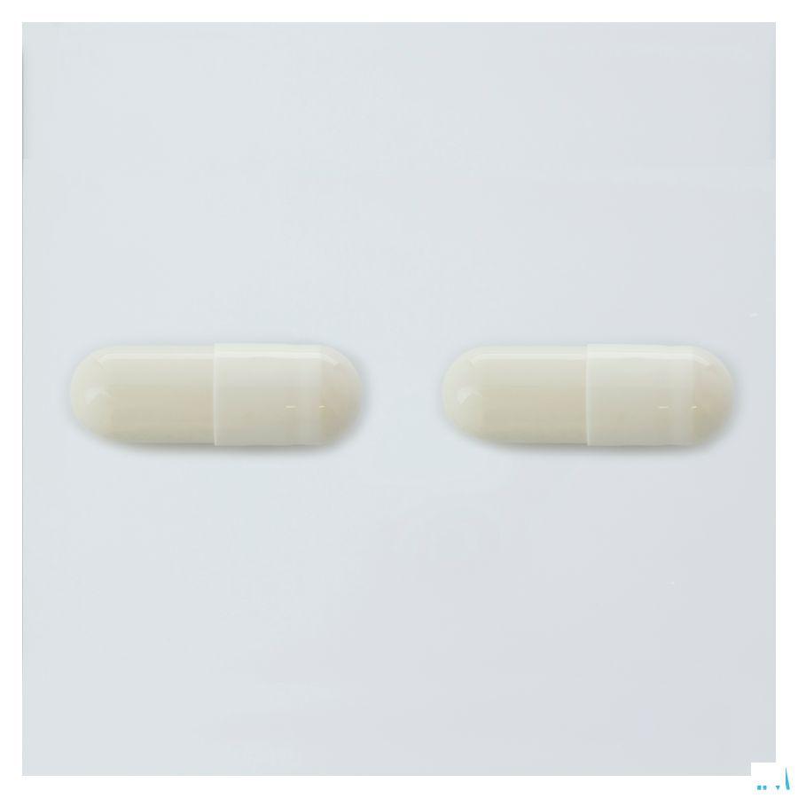 Boulardi Sanifort Capsule 10 
