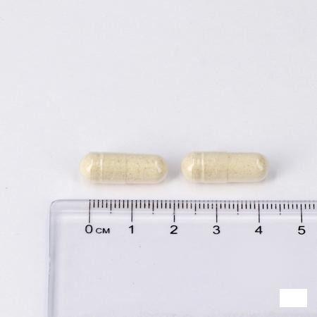 Lepivits Enzyvits V-Caps 60  -  Lepivits