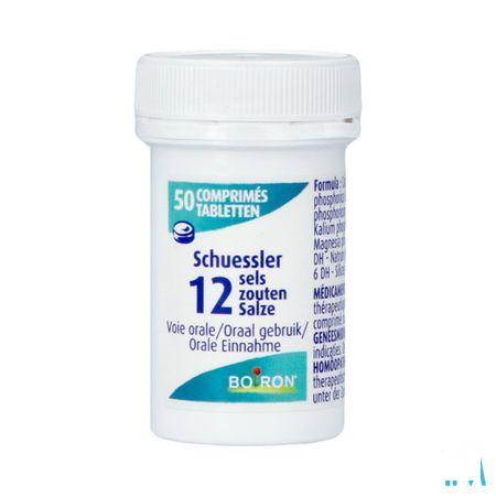 Schuessler 12 Sels 50p  -  Boiron