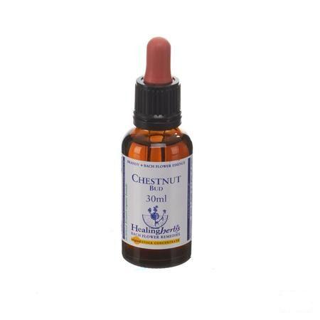 Healing Herbs Chestnut Bud 30 ml