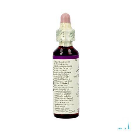 Bach Flower Remedie 34 Water Violet 20 ml
