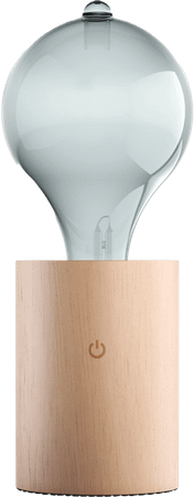 Pranarom Verstuiver Edison